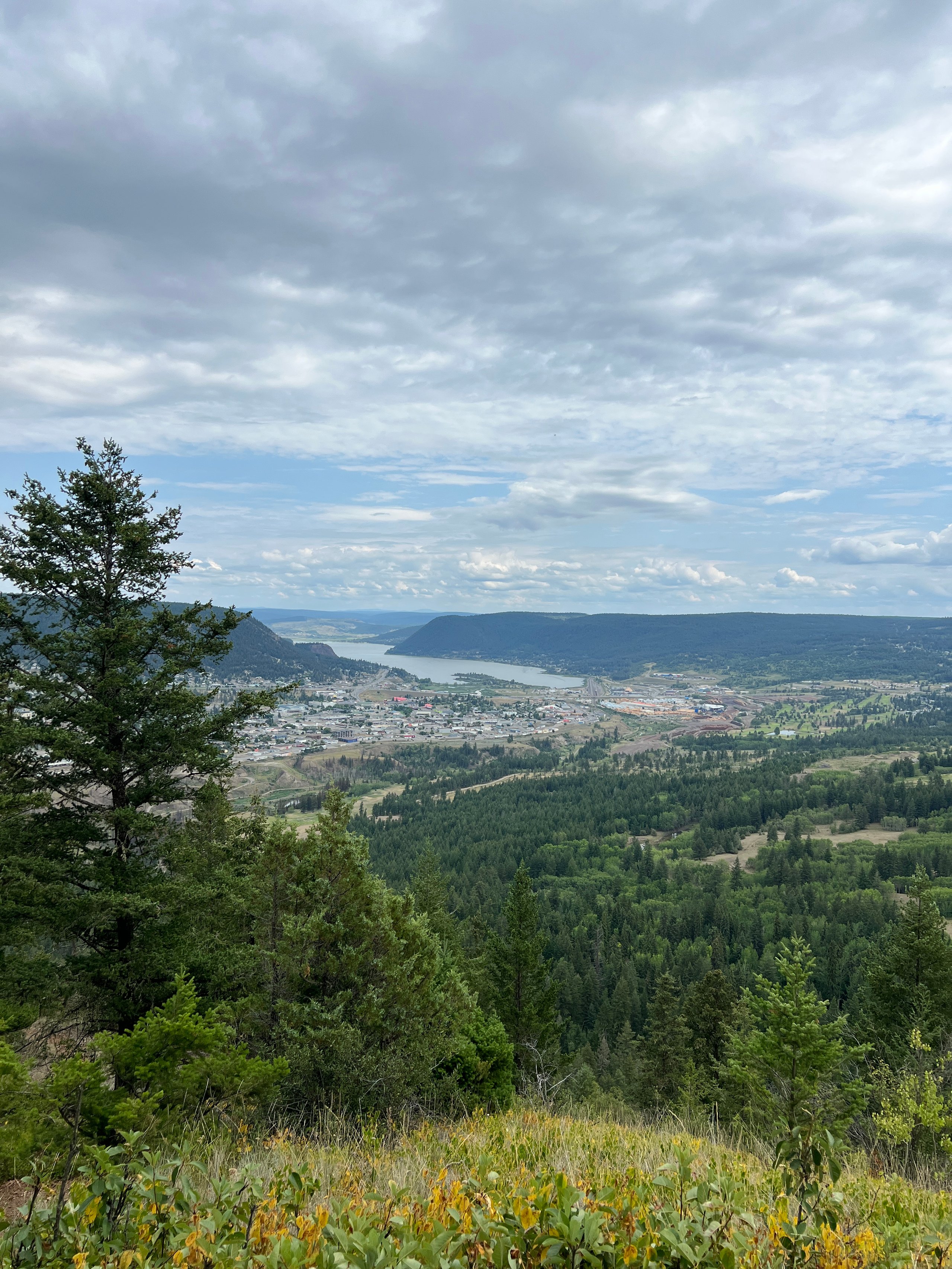 Panoramic view of a forested valley town beside winding water beneath a cloudy sky.